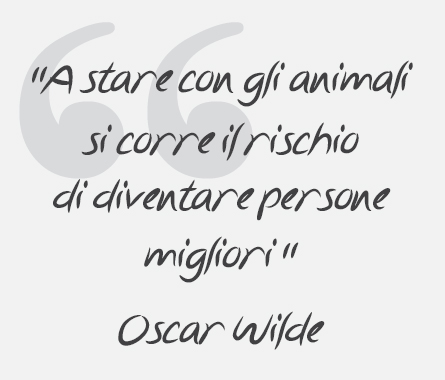 Citazione