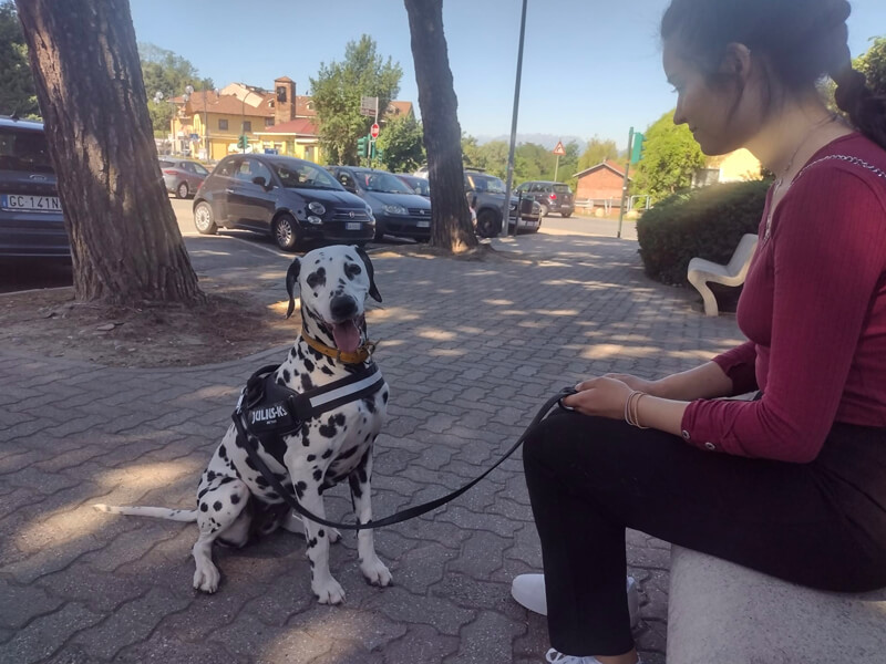 Gestione Urbana del Cane